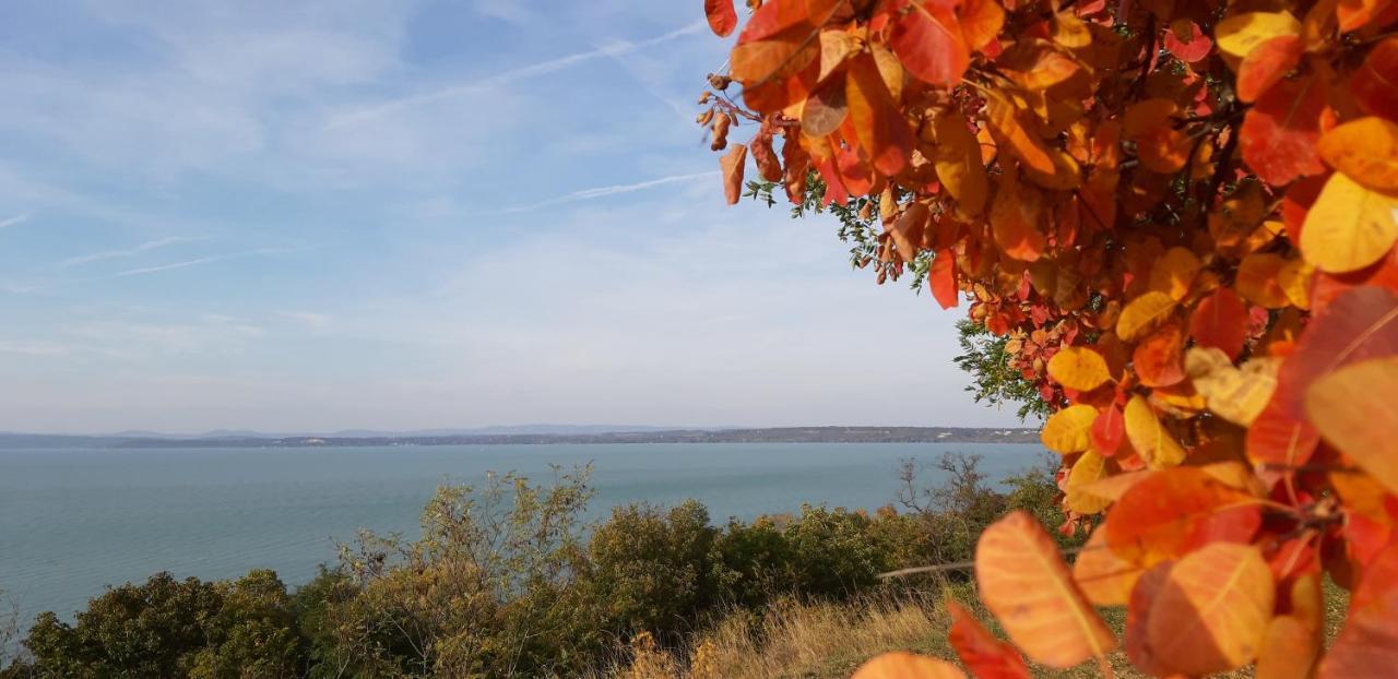 Villa Bori Siófok Buitenkant foto